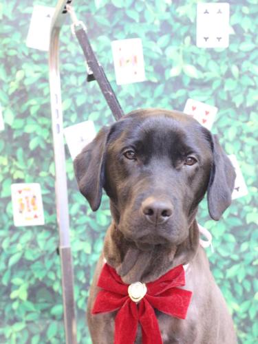 20250408文太くん